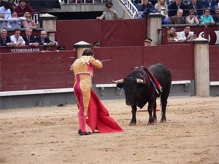 Which countries are famous for bullfighting?
