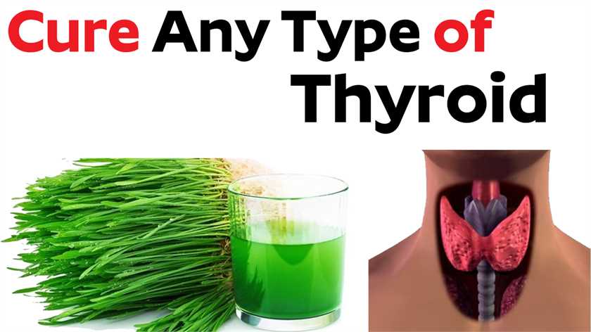 Cure Any Type of Thyroid Problems - Benefits of Wheat Grass Juice | #PlayEven English