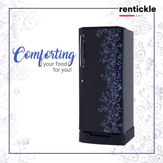 Things to Consider When Purchasing a Refrigerator 