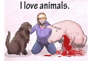 Can a non-vegetarian person be a true animal lover?