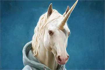 Do Unicorns Really Exist?
