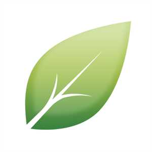 Leaf within 400x400.jpg